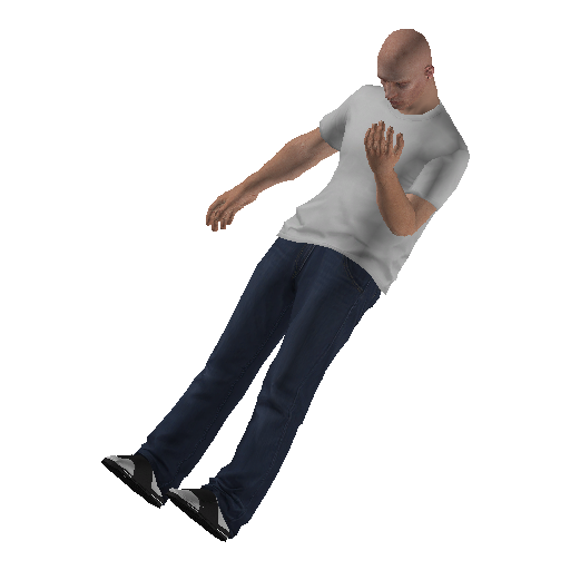 anim@mp_player_intincarrocklow@ds@_1 representative animation pose