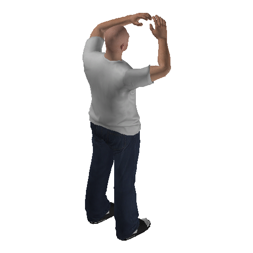 anim@mp_player_intin_carcry_babystd@rps@ representative animation pose