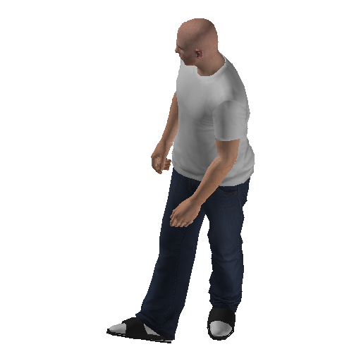 hs4f_int-12 representative animation pose