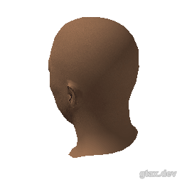 head_018_r inspection render