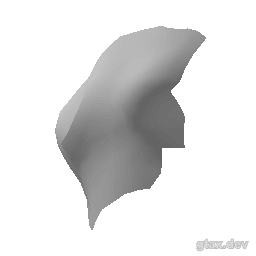 decl_015_u inspection render