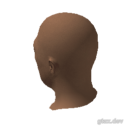 head_007_r_2 inspection render