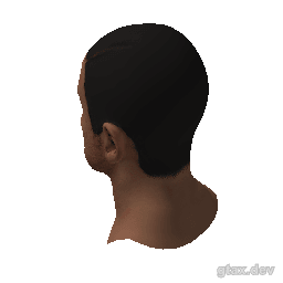 head_000_r_1 inspection render