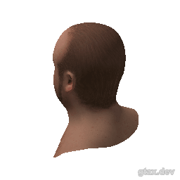 head_001_r inspection render