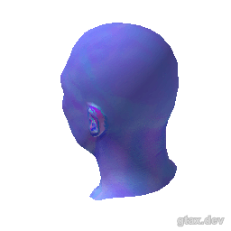 head_017_r inspection render