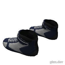 feet_000_u inspection render