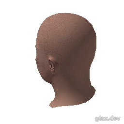 head_012_r_2 inspection render