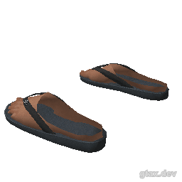 feet_000_r_1 inspection render