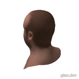 head_000_r_1 inspection render