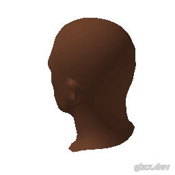 head_060_r inspection render