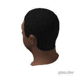 head_000_r_1 inspection render