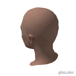 head_021_r inspection render