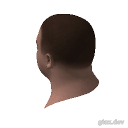 head_000_r inspection render