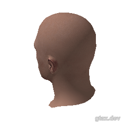 head_000_r_5 inspection render