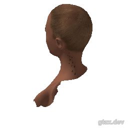 head_000_r inspection render
