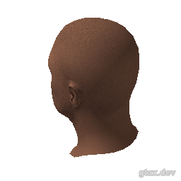 head_020_r inspection render