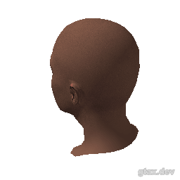 head_037_r_2 inspection render