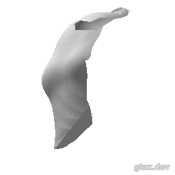 accs_000_u inspection render
