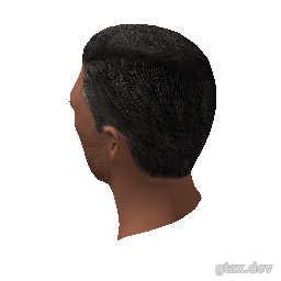 head_001_r inspection render