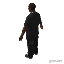 ig_g inspection render