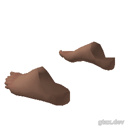 feet_001_r inspection render