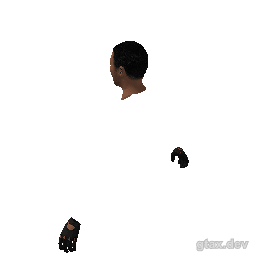 head_000_r inspection render