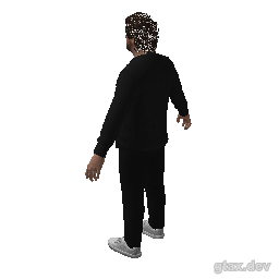 csb_sol inspection render