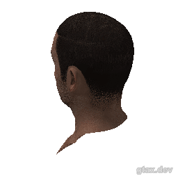 head_000_r inspection render