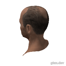 head_000_r_1 inspection render