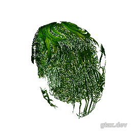 hair_008_u inspection render