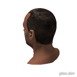 head_000_r inspection render