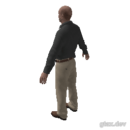csb_popov inspection render