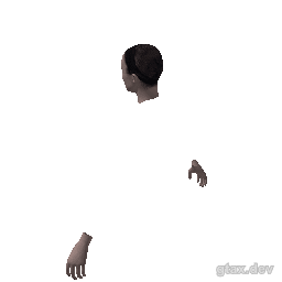 head_001_r inspection render