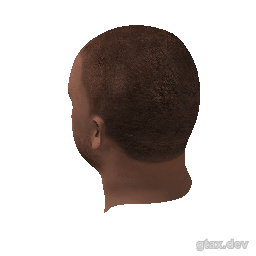 head_000_r_1 inspection render