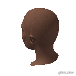 head_026_r_2 inspection render