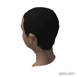 head_000_r_1 inspection render