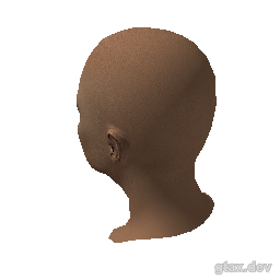 head_040_r_2 inspection render