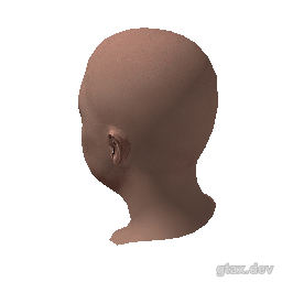 head_034_r_2 inspection render