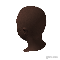 head_036_r inspection render