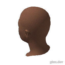 head_032_r inspection render