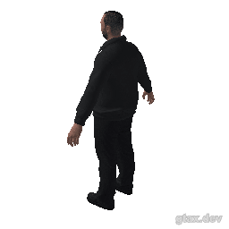 ig_djsolmike inspection render