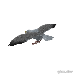 a_c_seagull inspection render