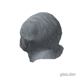 teef_000_u inspection render
