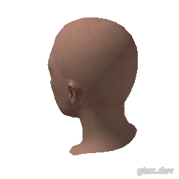 head_022_r inspection render