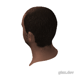 head_000_r inspection render