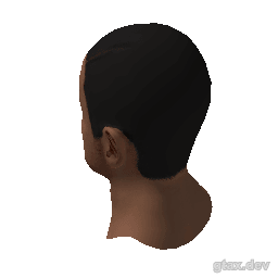 head_000_r_1 inspection render