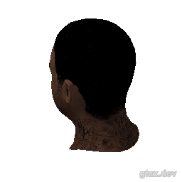 head_000_r inspection render