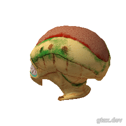 berd_000_u_1 inspection render
