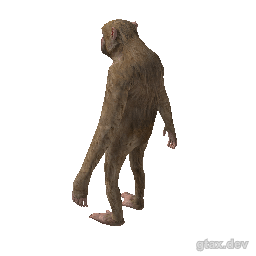 a_c_rhesus inspection render