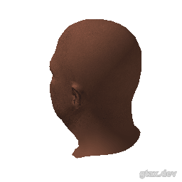 head_009_r inspection render